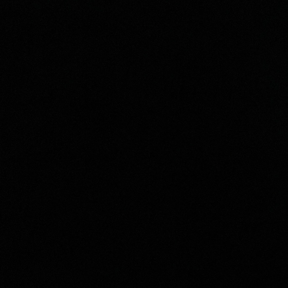 2 CC claw hair Clips